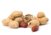 Peanut.jpg